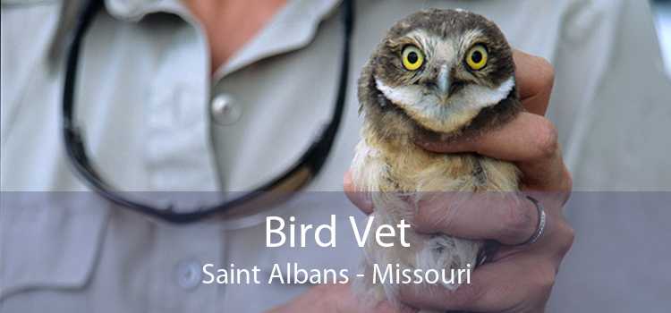 Bird Vet Saint Albans - Missouri