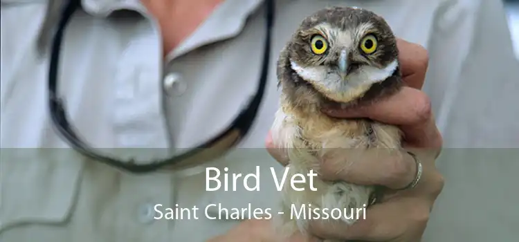 Bird Vet Saint Charles - Missouri