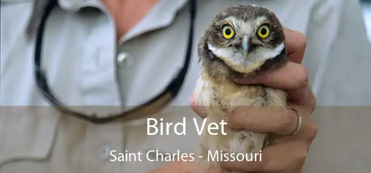 Bird Vet Saint Charles - Missouri