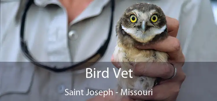 Bird Vet Saint Joseph - Missouri