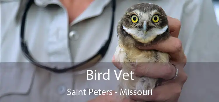 Bird Vet Saint Peters - Missouri