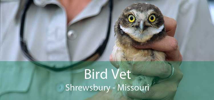 Bird Vet Shrewsbury - Missouri