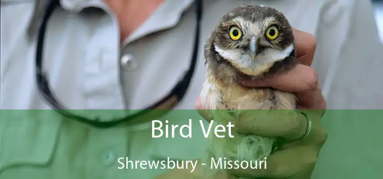 Bird Vet Shrewsbury - Missouri