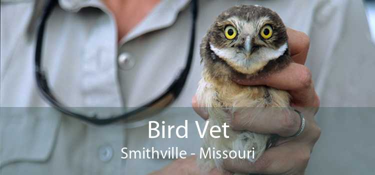 Bird Vet Smithville - Missouri