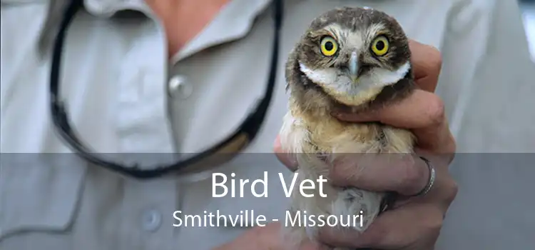 Bird Vet Smithville - Missouri