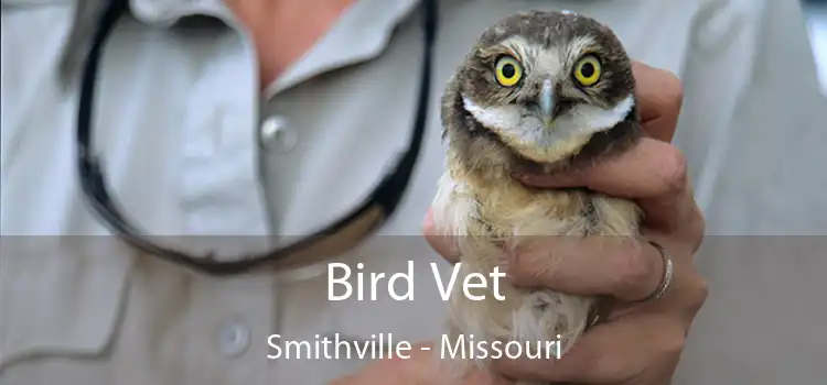 Bird Vet Smithville - Missouri