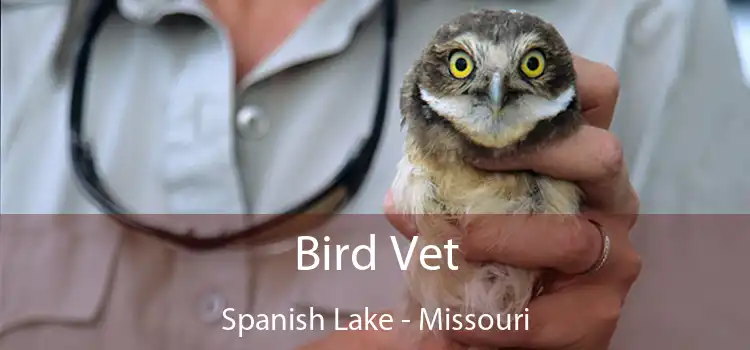 Bird Vet Spanish Lake - Missouri