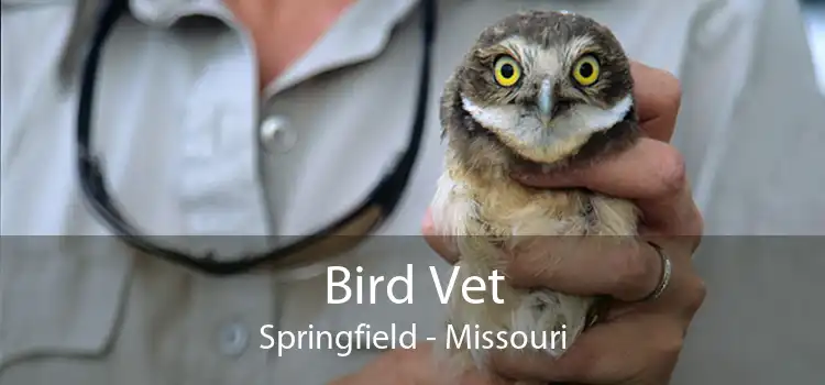 Bird Vet Springfield - Missouri