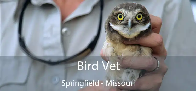 Bird Vet Springfield - Missouri