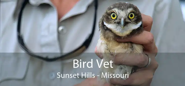 Bird Vet Sunset Hills - Missouri