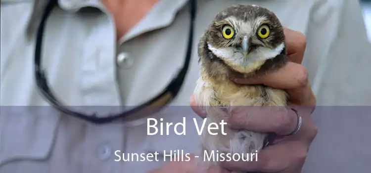 Bird Vet Sunset Hills - Missouri