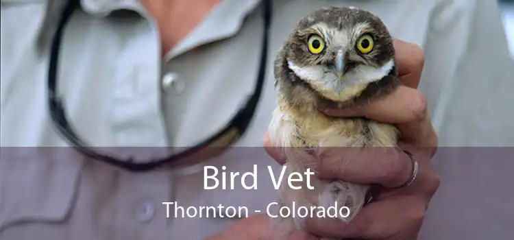 Bird Vet Thornton - Colorado