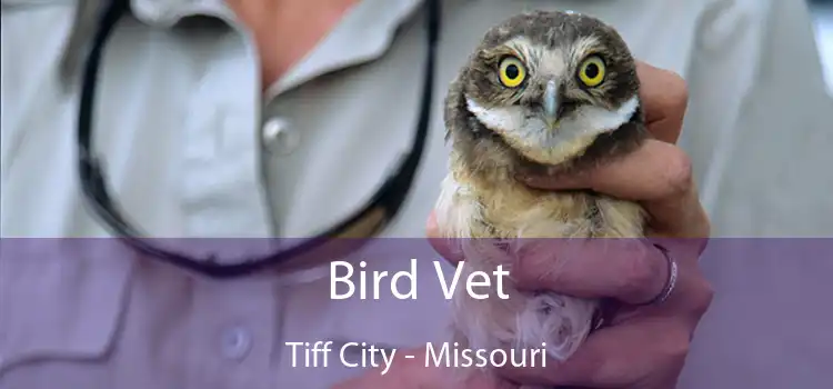 Bird Vet Tiff City - Missouri