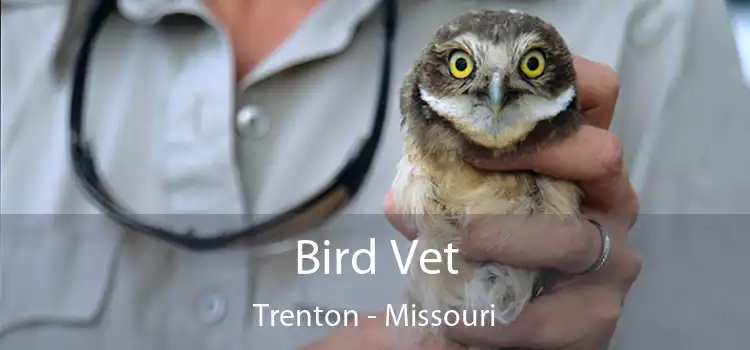 Bird Vet Trenton - Missouri