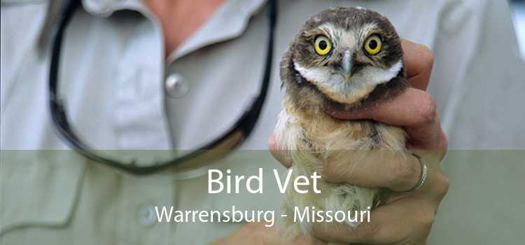 Bird Vet Warrensburg - Missouri