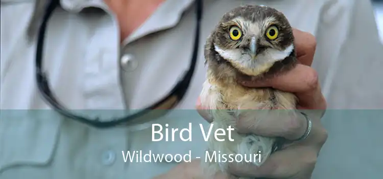 Bird Vet Wildwood - Missouri