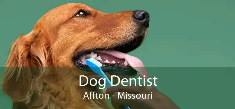 Dog Dentist Affton - Missouri