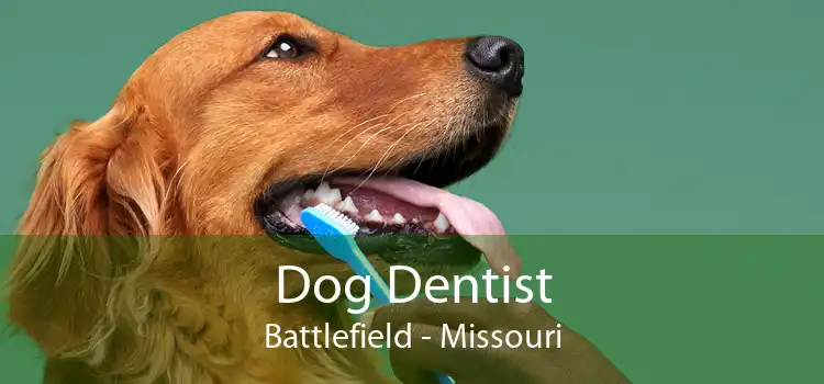Dog Dentist Battlefield - Missouri