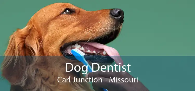 Dog Dentist Carl Junction - Missouri