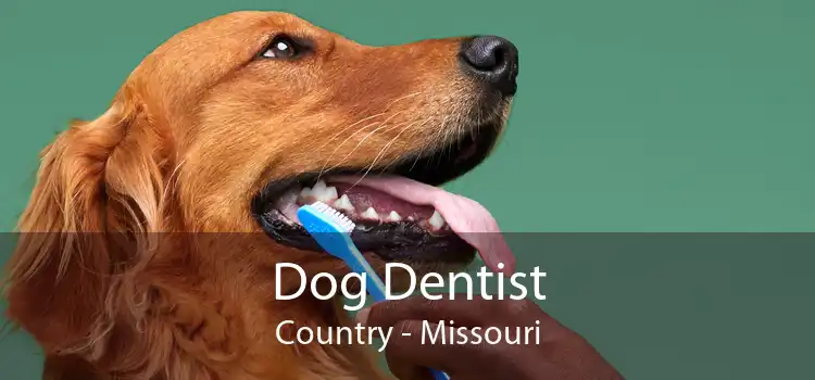 Dog Dentist Country - Missouri