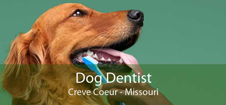Dog Dentist Creve Coeur - Missouri