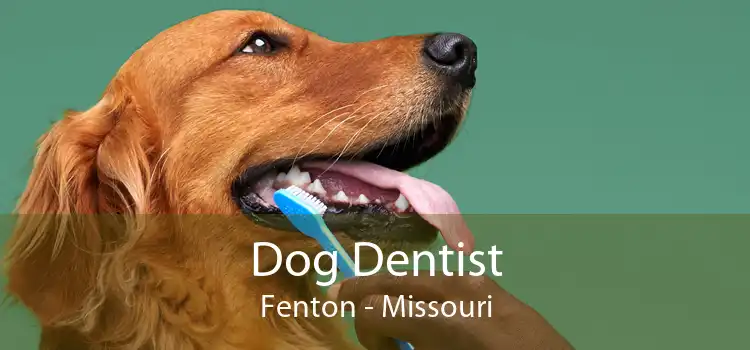 Dog Dentist Fenton - Missouri