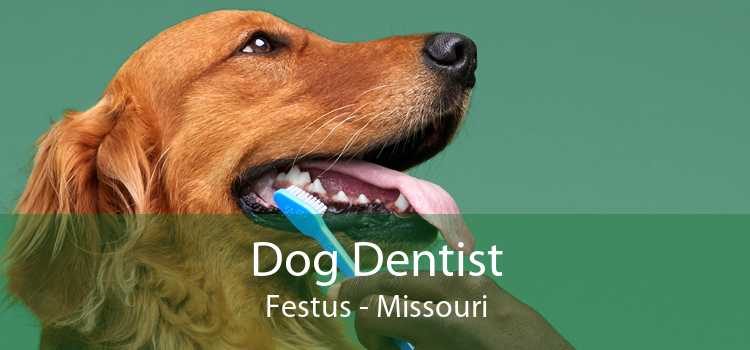 Dog Dentist Festus - Missouri