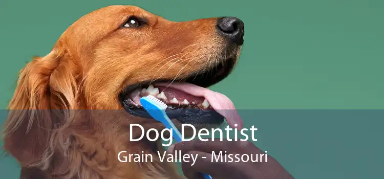 Dog Dentist Grain Valley - Missouri