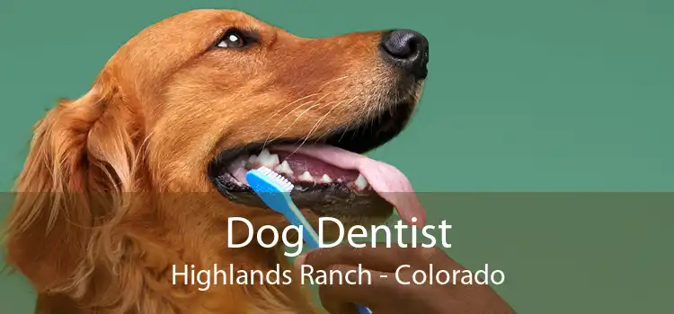 Dog Dentist Highlands Ranch - Colorado