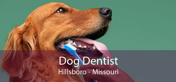 Dog Dentist Hillsboro - Missouri