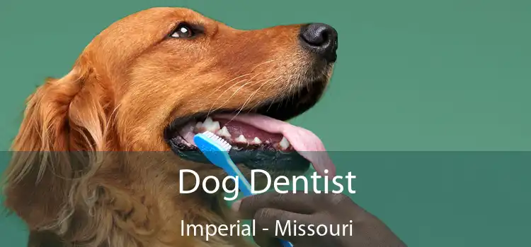 Dog Dentist Imperial - Missouri