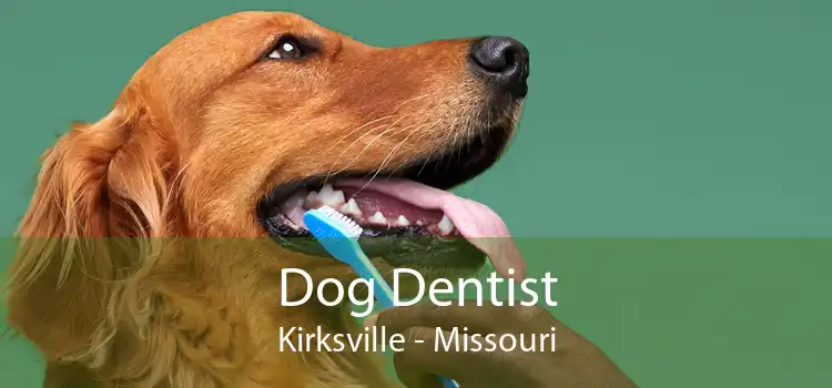Dog Dentist Kirksville - Missouri