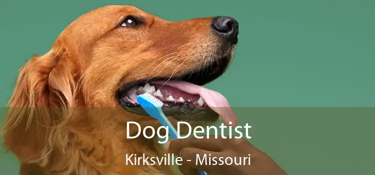 Dog Dentist Kirksville - Missouri