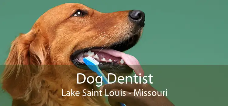 Dog Dentist Lake Saint Louis - Missouri