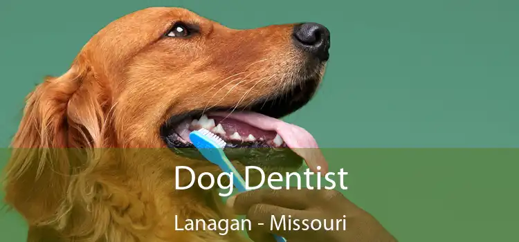 Dog Dentist Lanagan - Missouri
