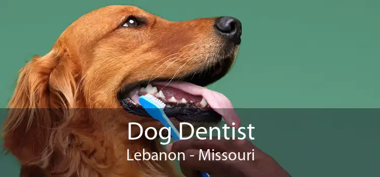 Dog Dentist Lebanon - Missouri