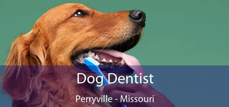 Dog Dentist Perryville - Missouri