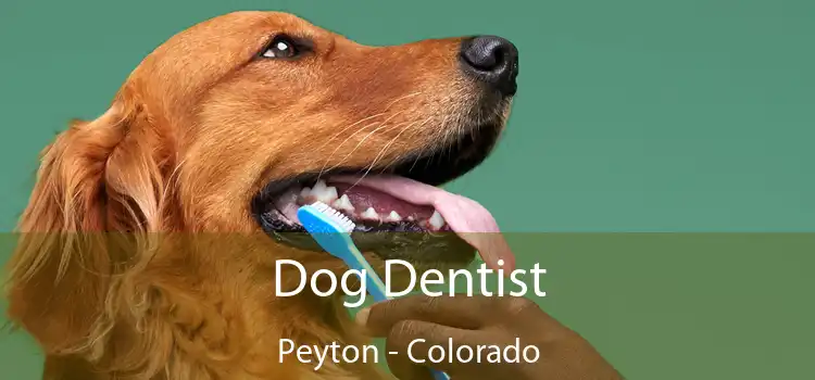 Dog Dentist Peyton - Colorado