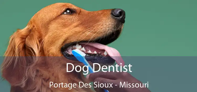 Dog Dentist Portage Des Sioux - Missouri