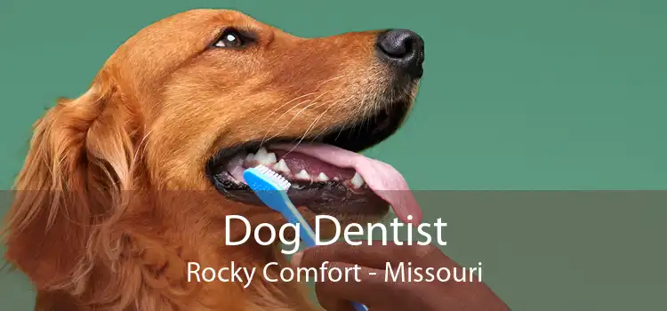 Dog Dentist Rocky Comfort - Missouri