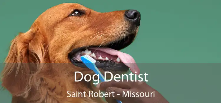 Dog Dentist Saint Robert - Missouri