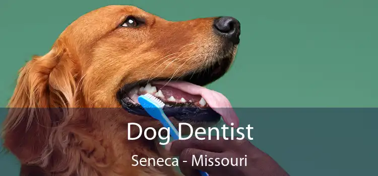 Dog Dentist Seneca - Missouri