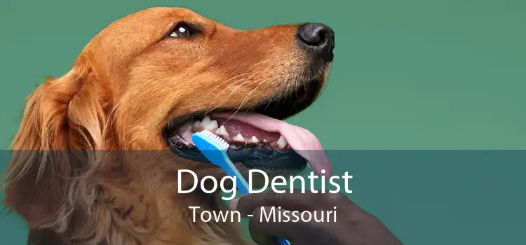 Dog Dentist Town - Missouri