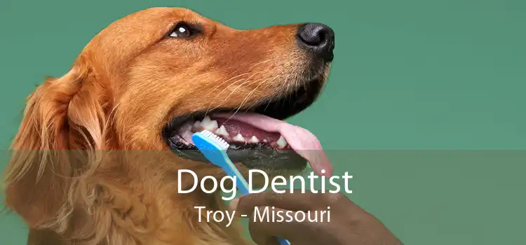 Dog Dentist Troy - Missouri