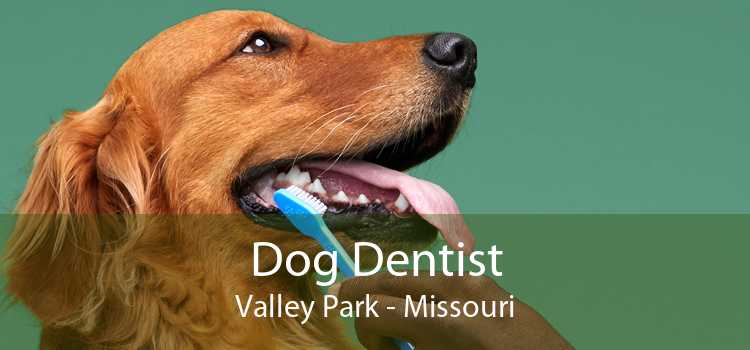 Dog Dentist Valley Park - Missouri