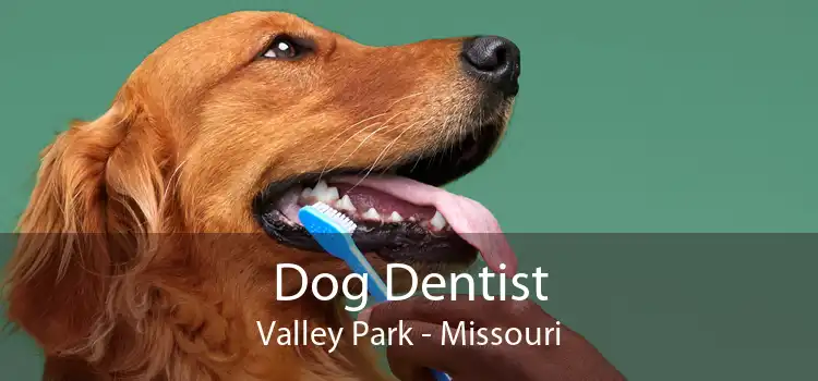 Dog Dentist Valley Park - Missouri