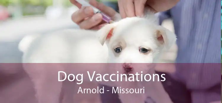 Dog Vaccinations Arnold - Missouri