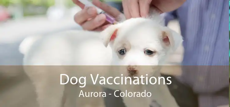 Dog Vaccinations Aurora - Colorado