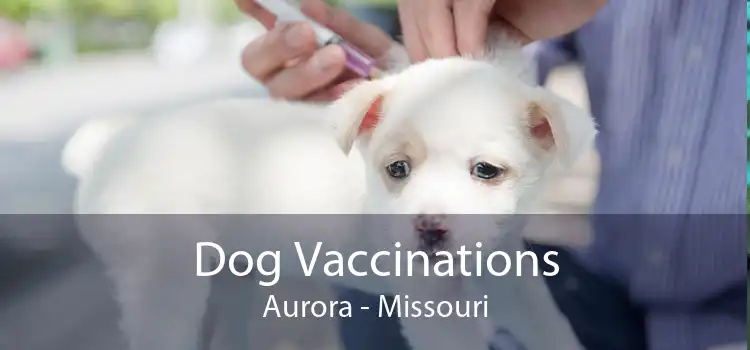Dog Vaccinations Aurora - Missouri