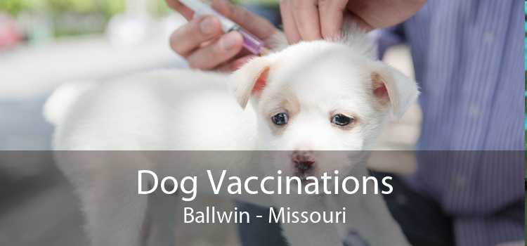 Dog Vaccinations Ballwin - Missouri